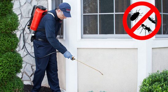 Küre Dezenfeksiyon böcek ilaçlama ve haşere kontrolü — ilaclama-tr.com